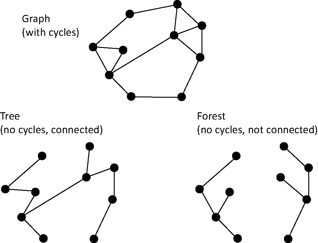 Graph vs Trees vs Forests.png